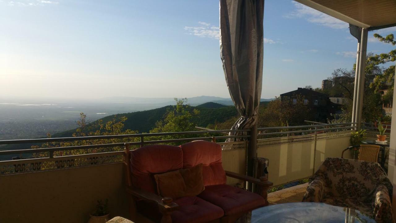 Guest House Evdoshvili St N5 Siğnaği Dış mekan fotoğraf