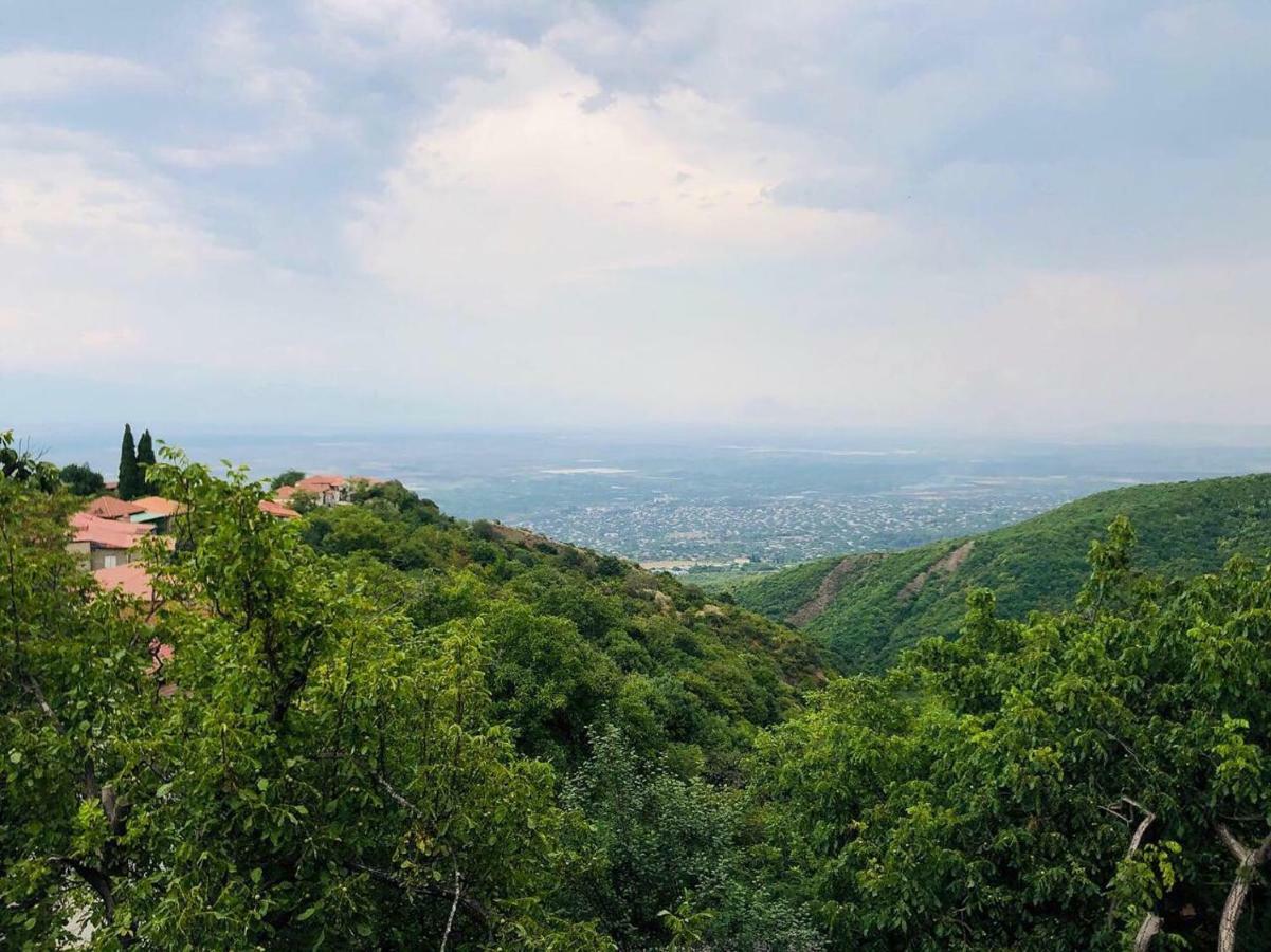Guest House Evdoshvili St N5 Siğnaği Dış mekan fotoğraf